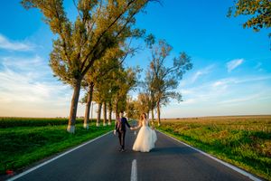 A couple walks away from camera down a tree-lined country road on their wedding day.