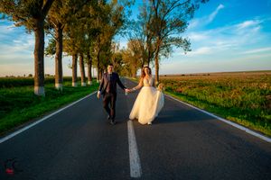 A couple walks hand in hand down a rural road with rows of trees on both sides.
