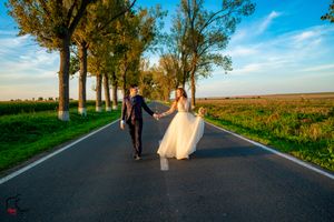 A couple strolls down a scenic tree-lined road surrounded by farmland on a sunny day.
