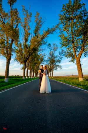 Tree-lined country road creates symmetrical backdrop for wedding portrait.