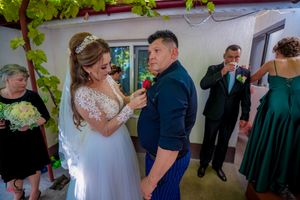 Wedding celebration with guests in formal attire beneath hanging green foliage.