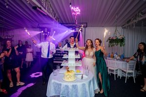 Wedding party celebrates with sparklers around tiered display under dramatic purple lighting.