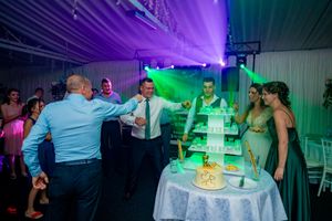 Wedding reception cake cutting moment illuminated by colorful purple and green lighting at an indoor venue.