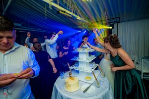Wedding reception scene with dramatic blue lighting illuminating a cake-cutting moment.