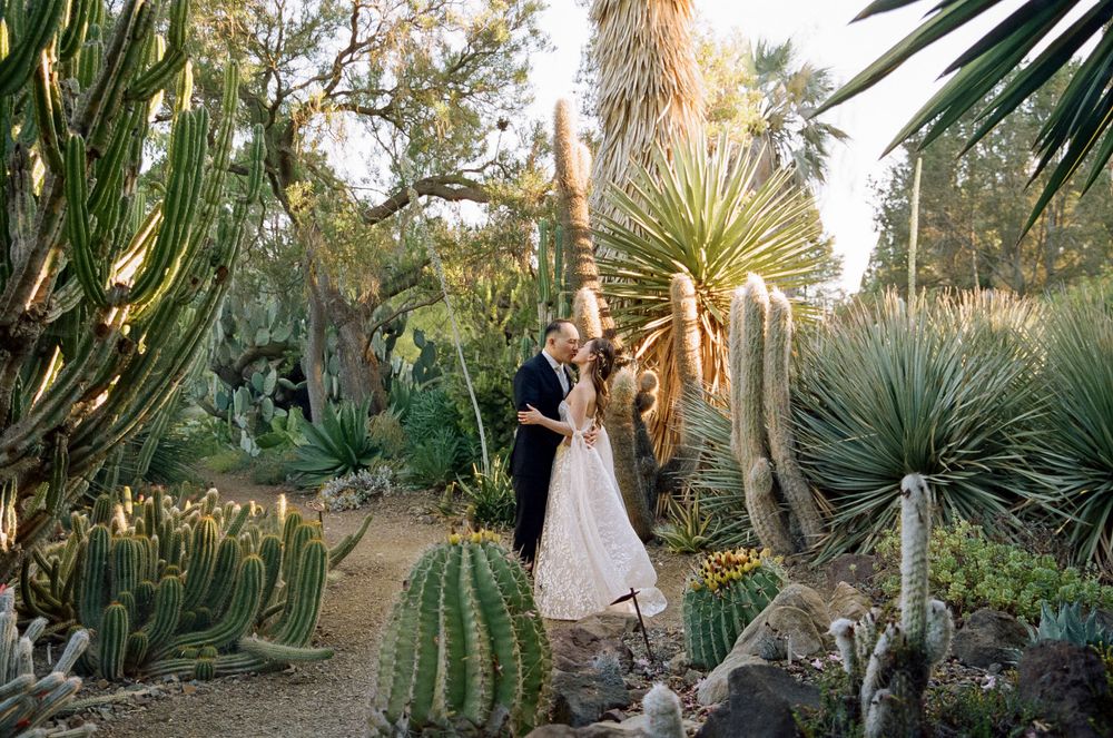 A tender embrace amid a lush desert garden landscape filled with towering cacti and exotic succulents in golden sunlight.