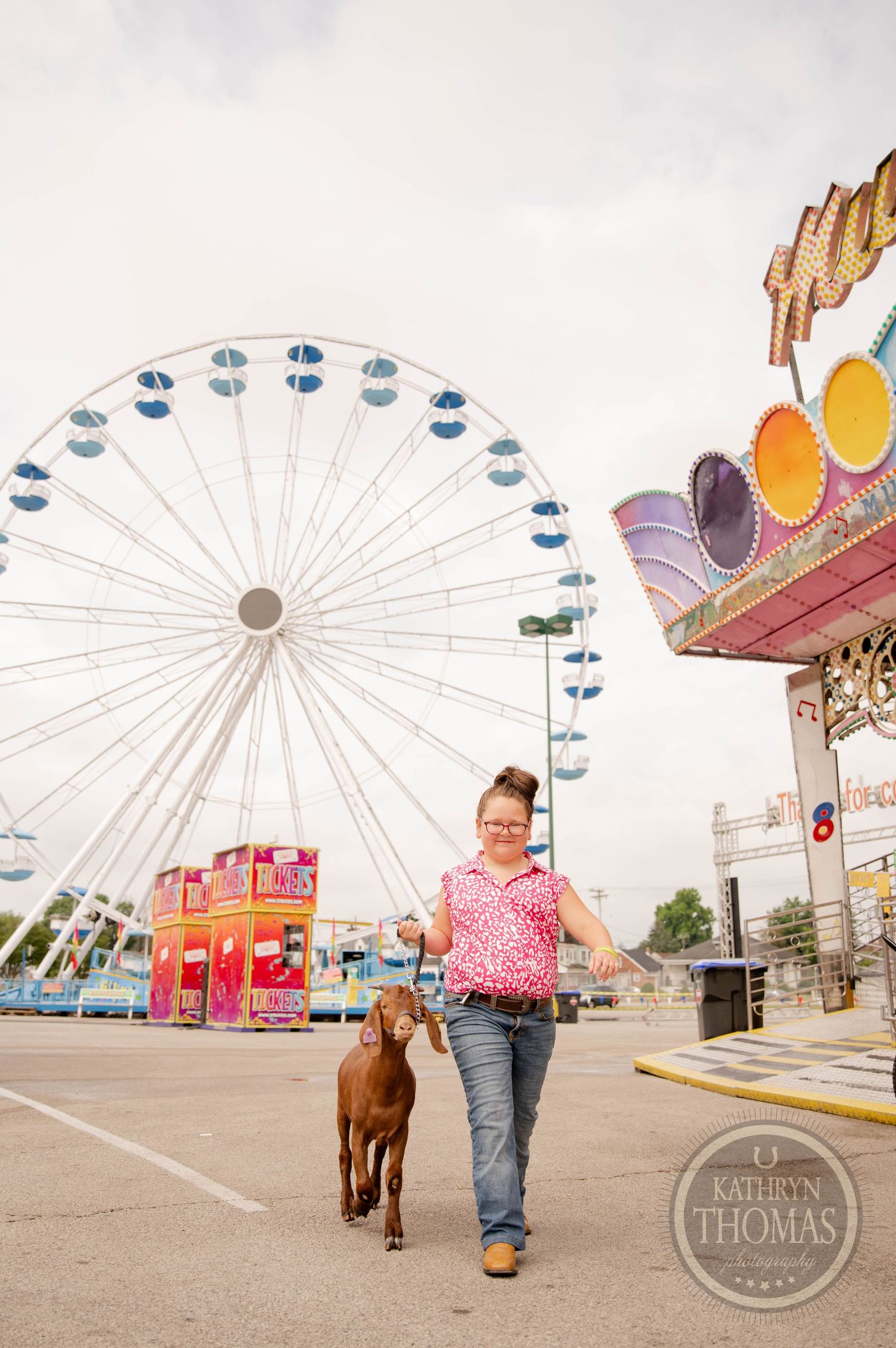 A brown goat walks past a ferris wheel and carnival rides at a county fair.