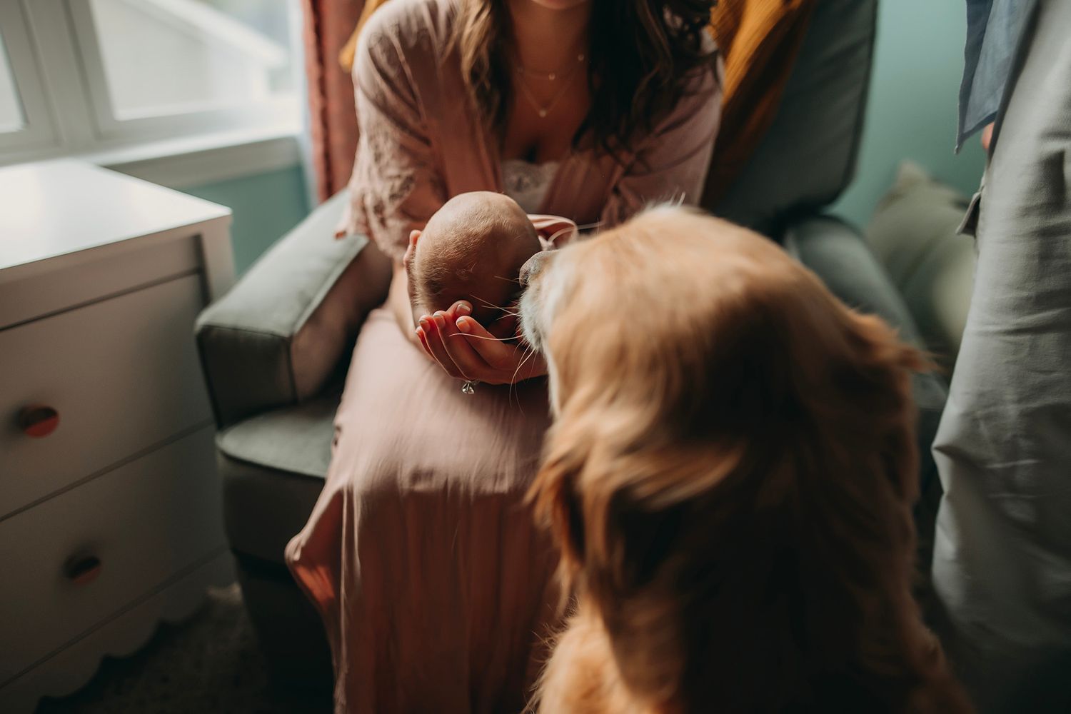 Ann Arbor Newborn Photographer