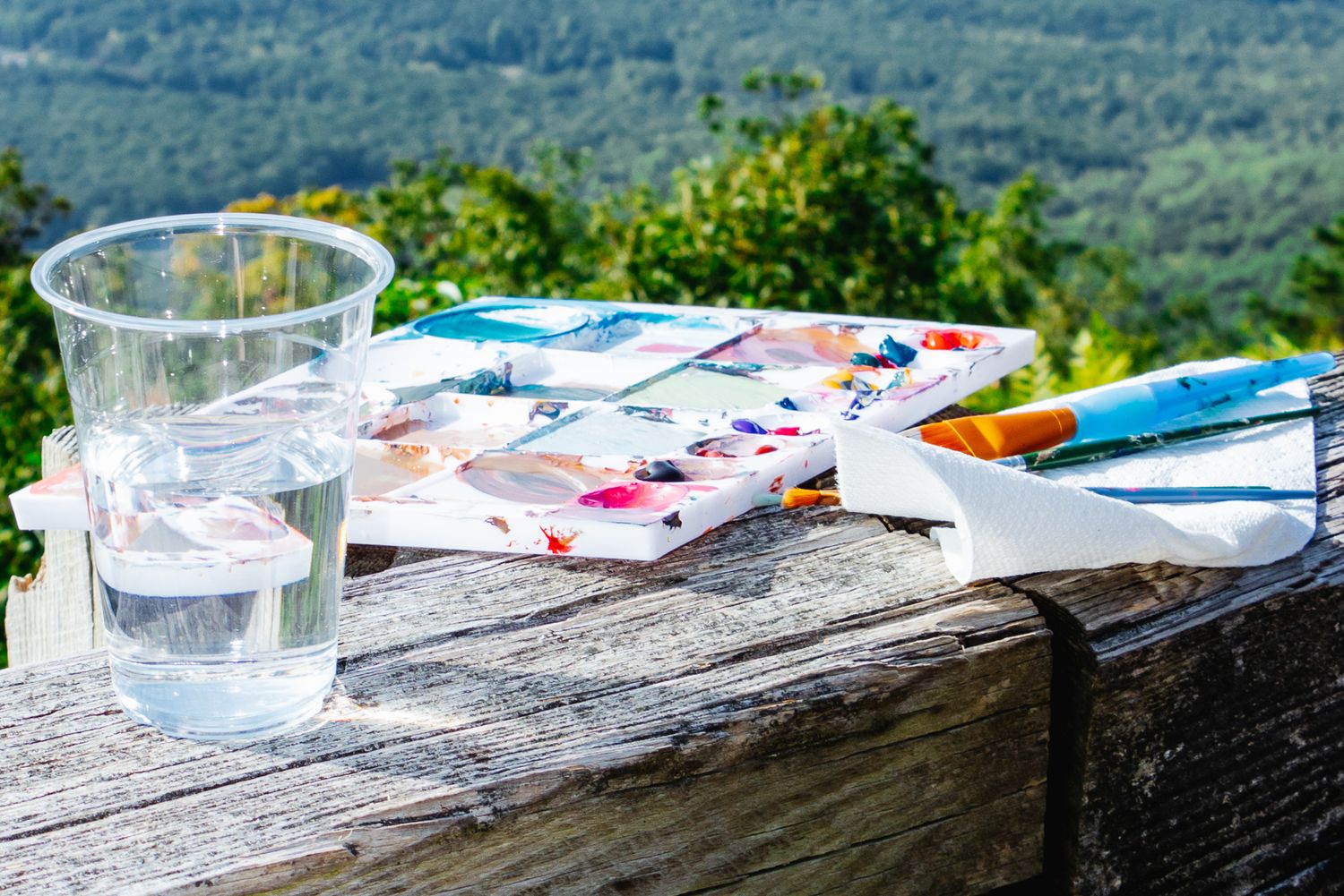 A cup of water, paint palette, brushes, and a paper towel resting on a rustic wooden railing, with a forested valley blurred in the backgrou