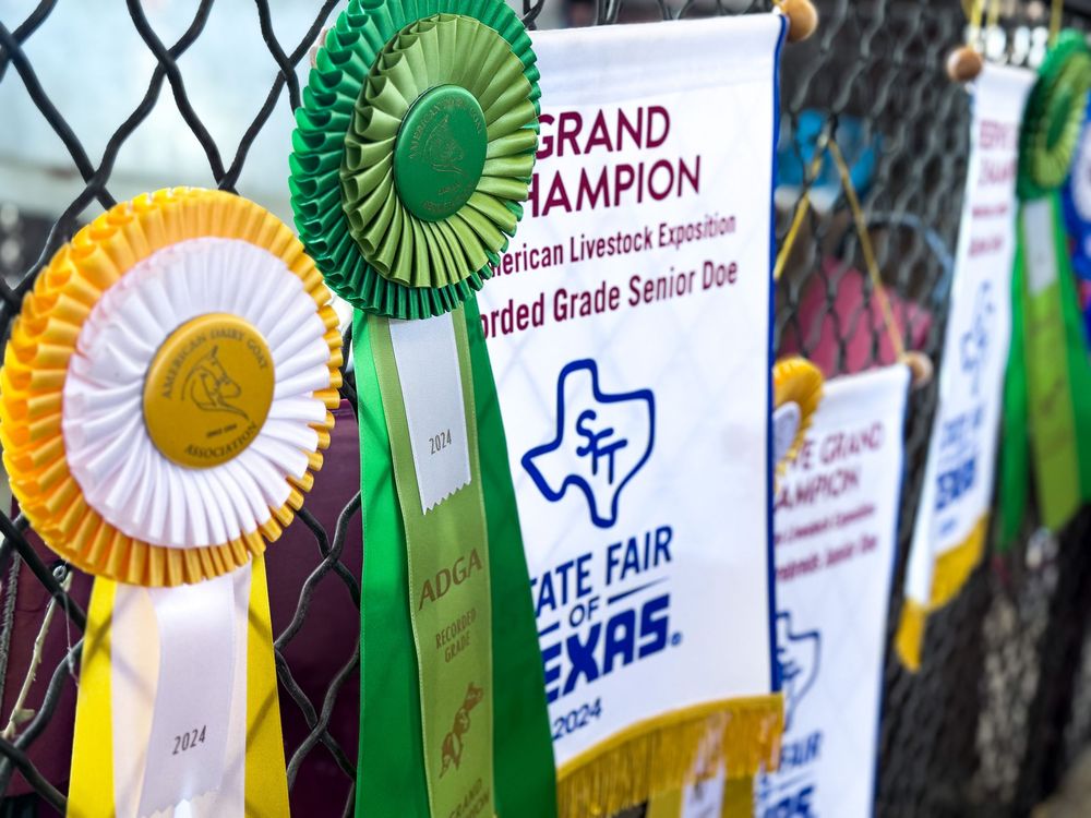 State Fair of Texas 2025