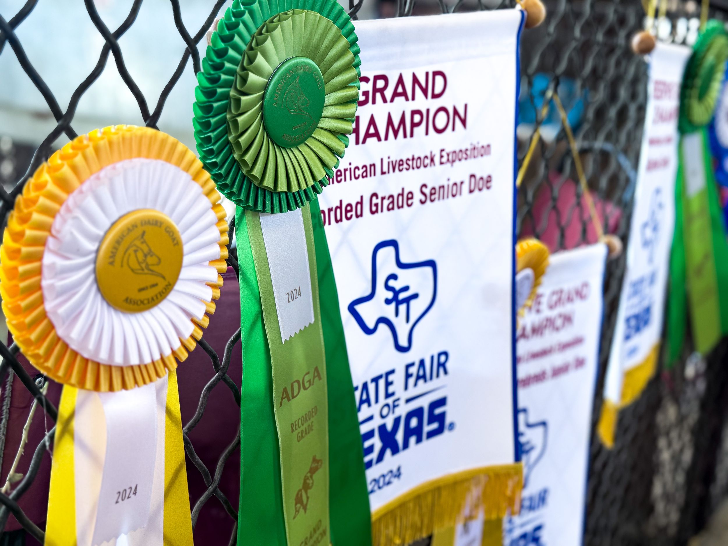 State Fair of Texas 2025