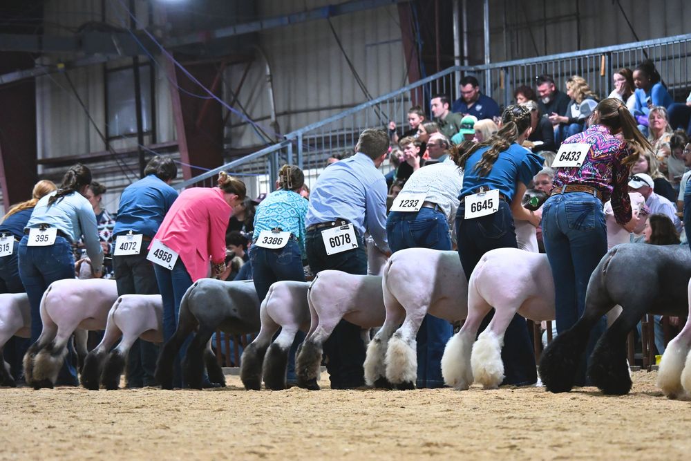 Arizona National Livestock Show 2025