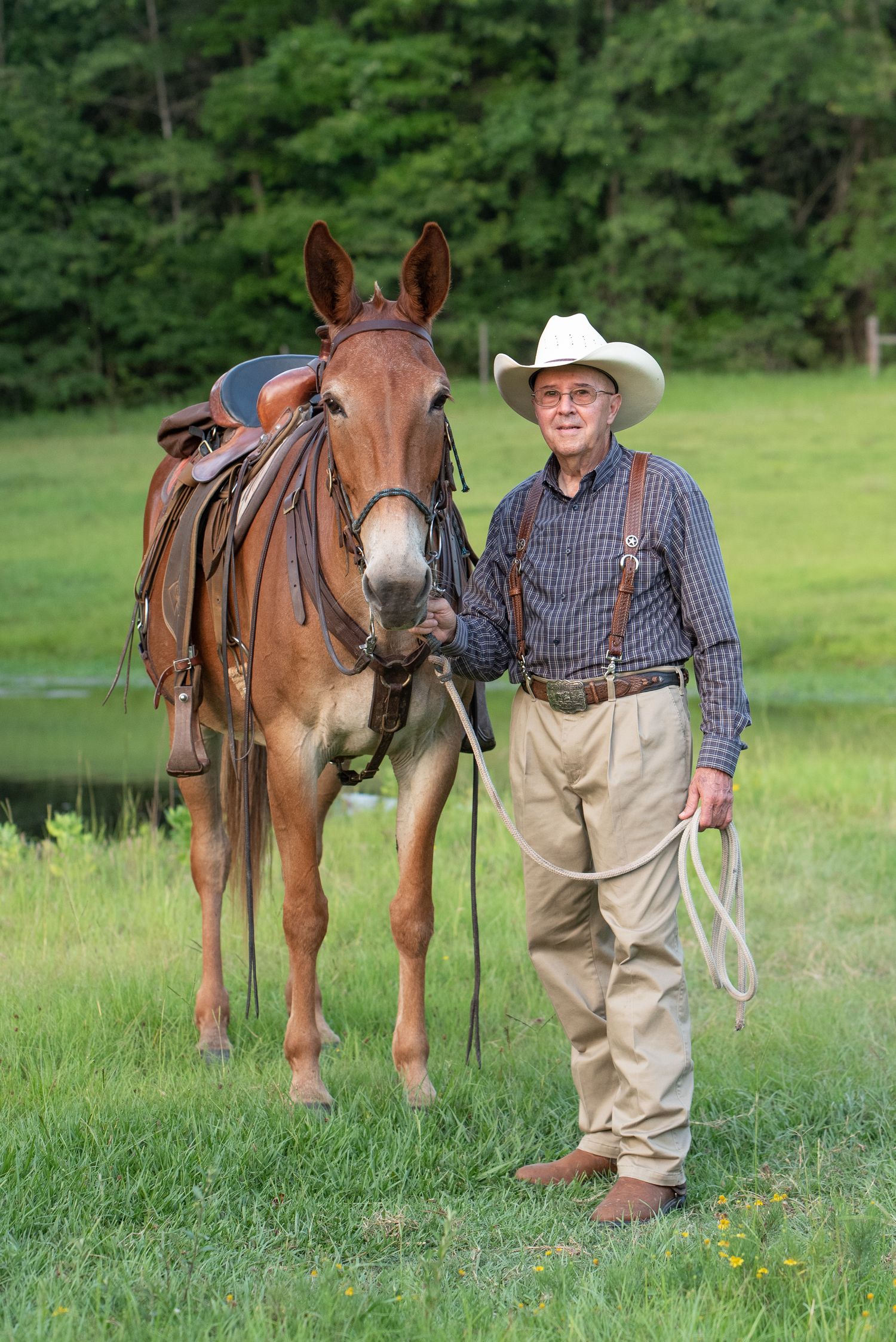 A mule with brown leather saddle stands next to someone wearing a plaid shirt and cowboy hat in a green pasture.