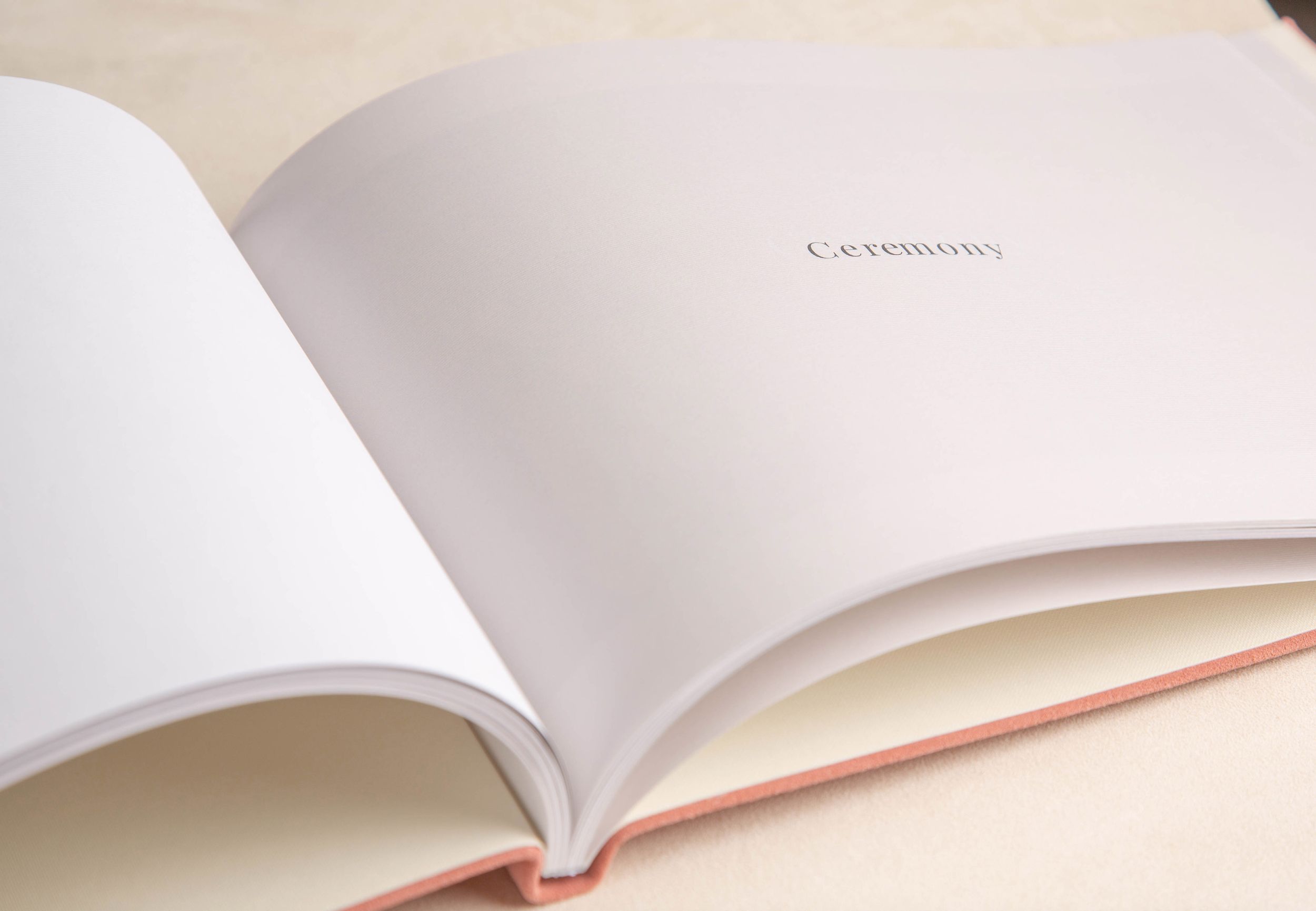 Open blank white book pages fanned out showing curved pages and shadows on a light background surface.
