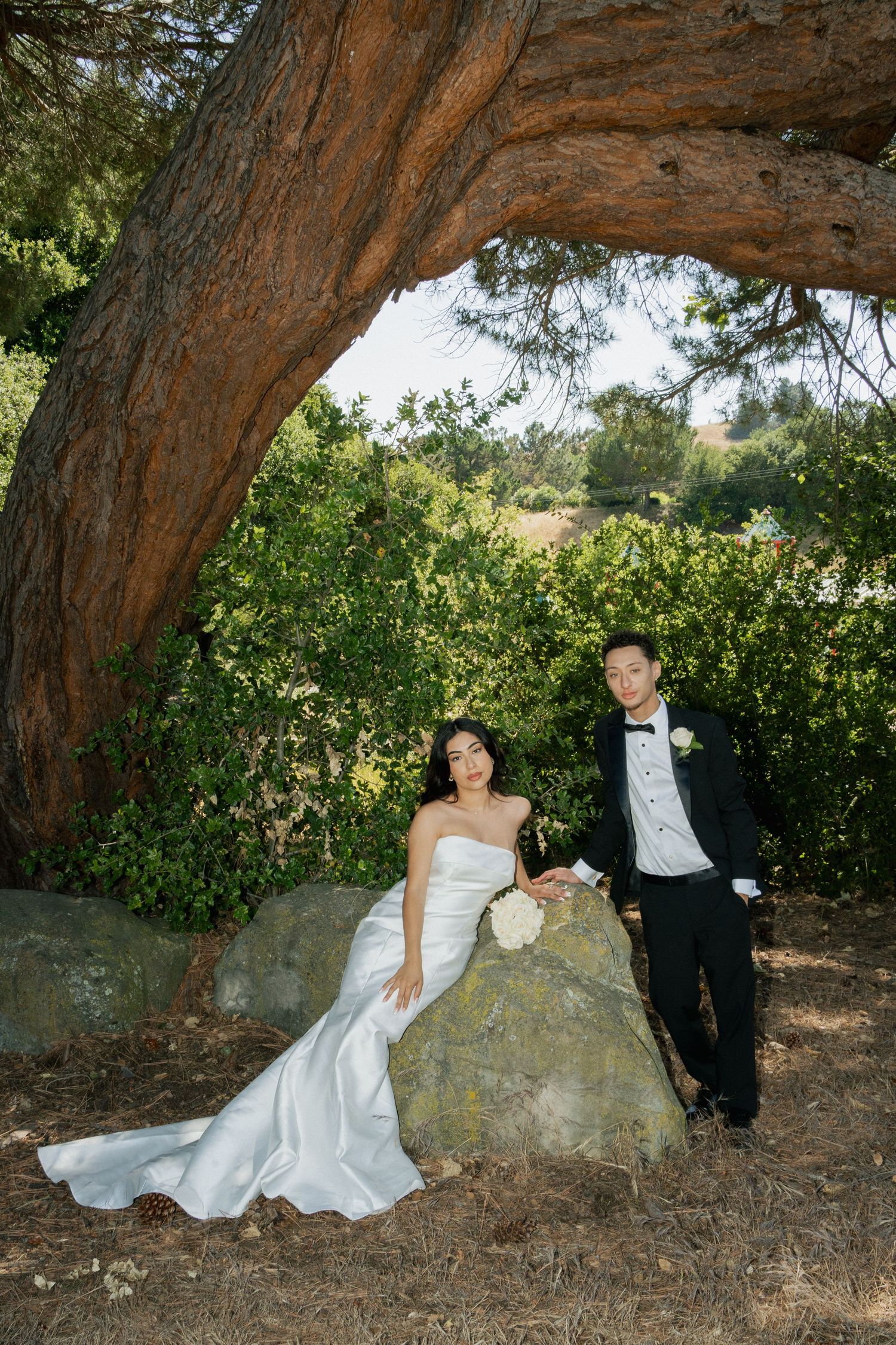 Wedding couple poses together underneath a curved tree trunk in a natural outdoor setting, creating romantic portraits.