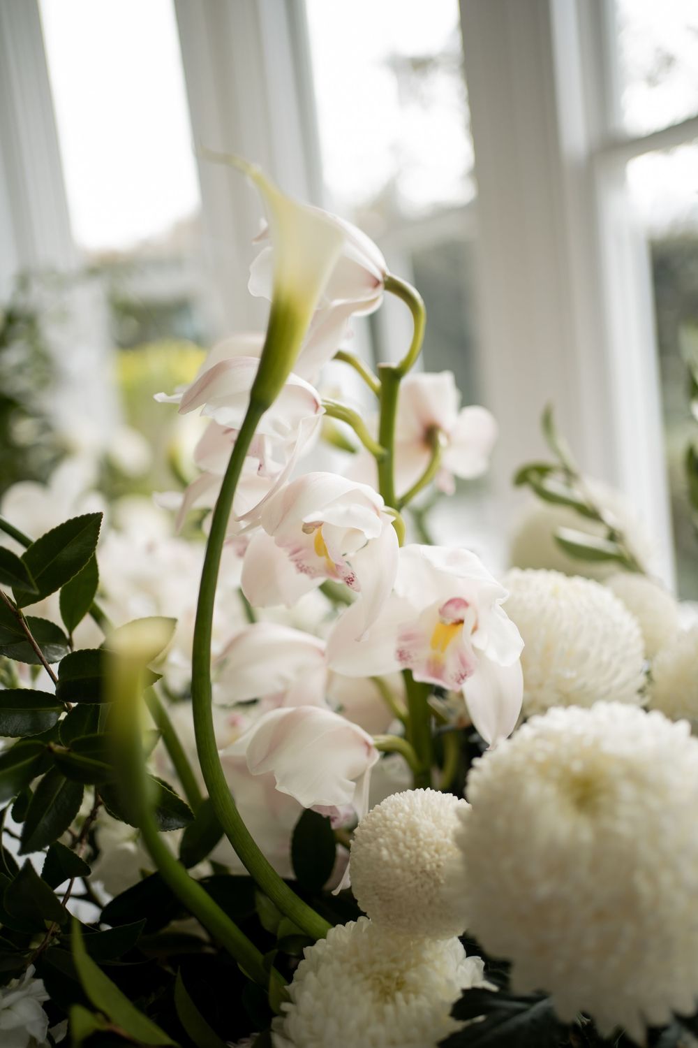 White chrysanthemums and pink orchids arranged in soft window light.