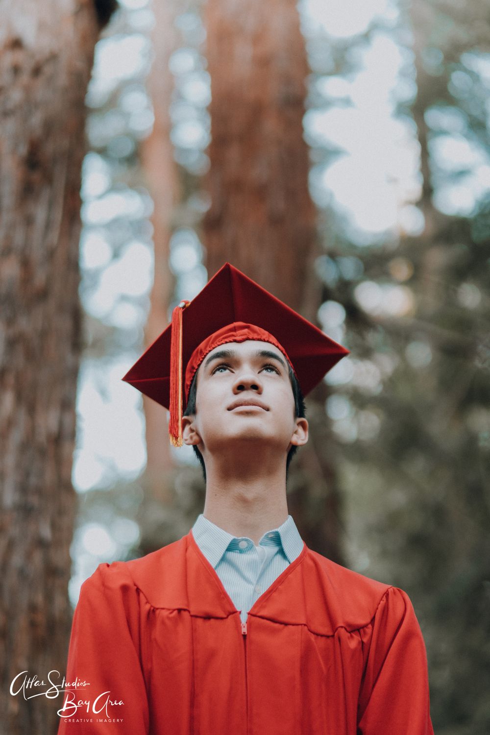 Graduate in red cap and gown looking upward in pine forest setting.