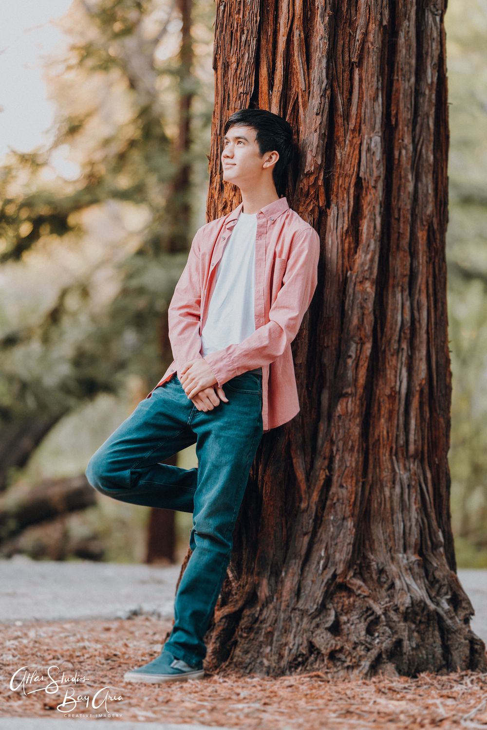 Casual portrait of someone wearing pink shirt and jeans leaning against large redwood tree trunk in nature.