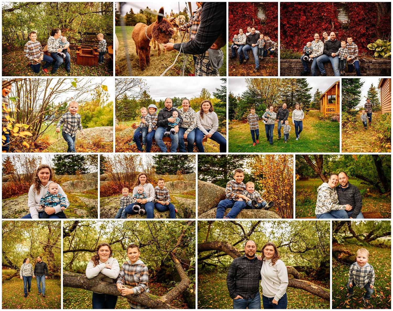 Fall family portrait session collage featuring rustic outdoor settings and autumn colors.