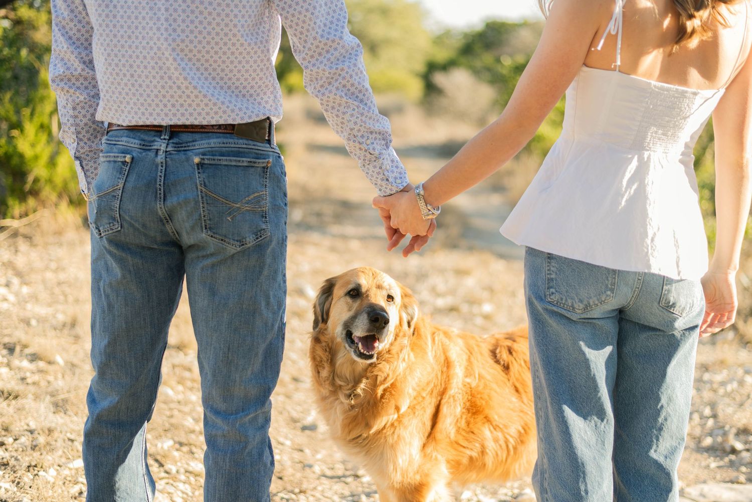 Couple holding hands while walking golden retriever dog on sunny dirt path outdoors.