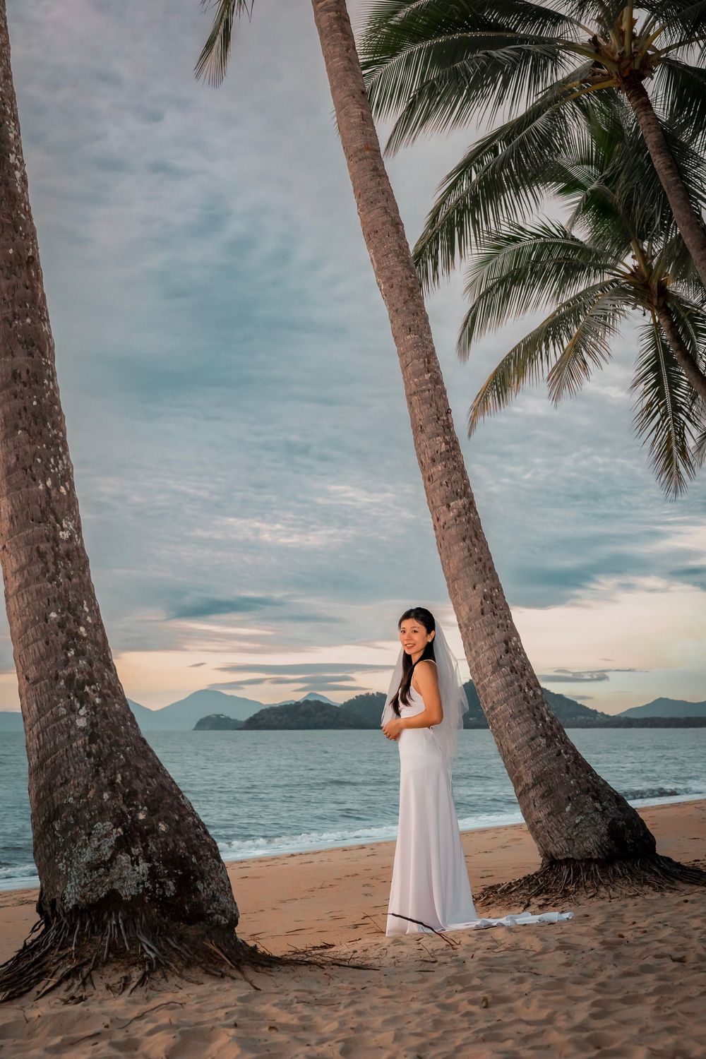 Scenic beachfront at sunset with palm trees leaning over sandy shore and ocean view with mountains in distance.