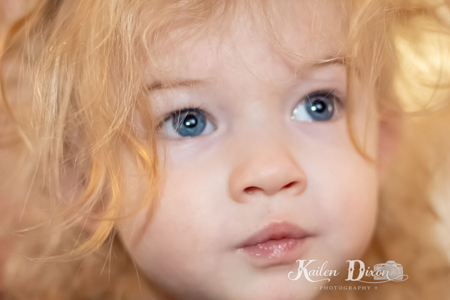 Kailen Dixon Photography