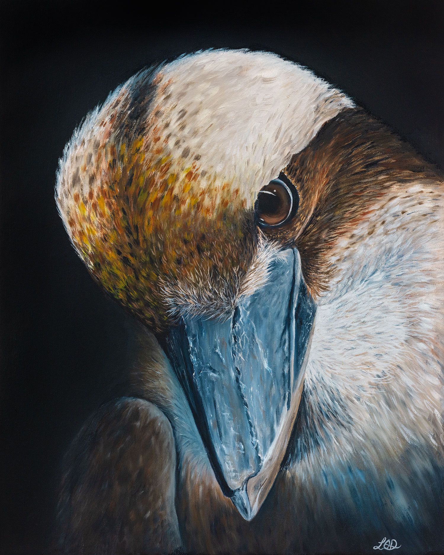 Kookaburra Artwork by Mansfield Artist Lisa O'Dwyer digitised at JRP Studio Fine Art Printing Albury Wodonga.