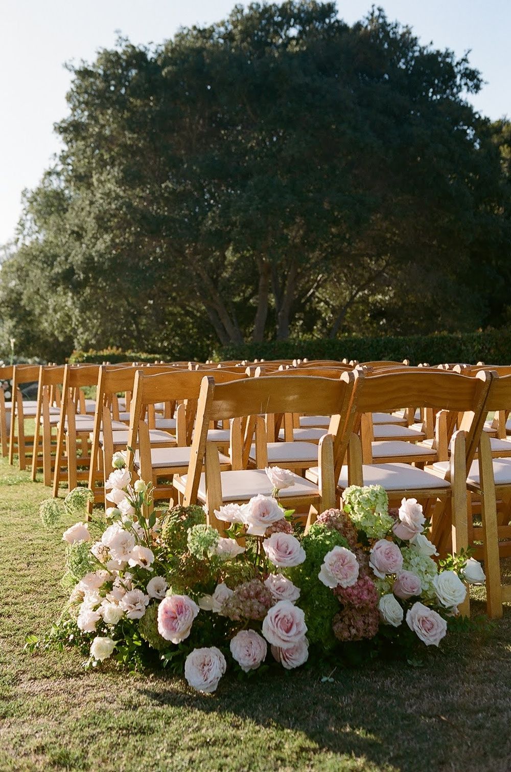 Wooden chairs adorned with soft pink roses line up for an outdoor wedding ceremony under shady oak trees.