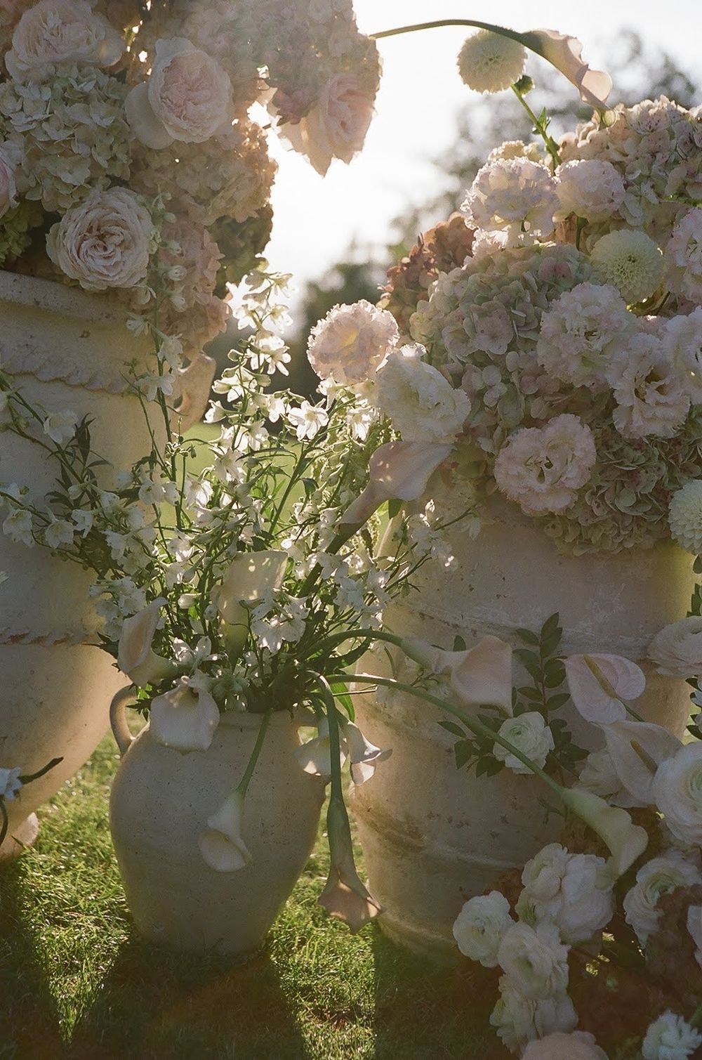 White roses in vases glowing with golden sunlight creating a dreamy garden atmosphere.