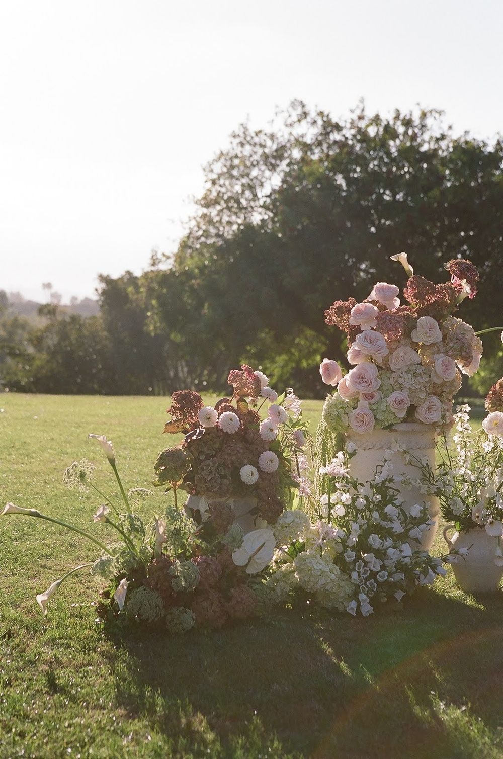 Floral arrangements on a grassy hill bathed in warm sunset light.