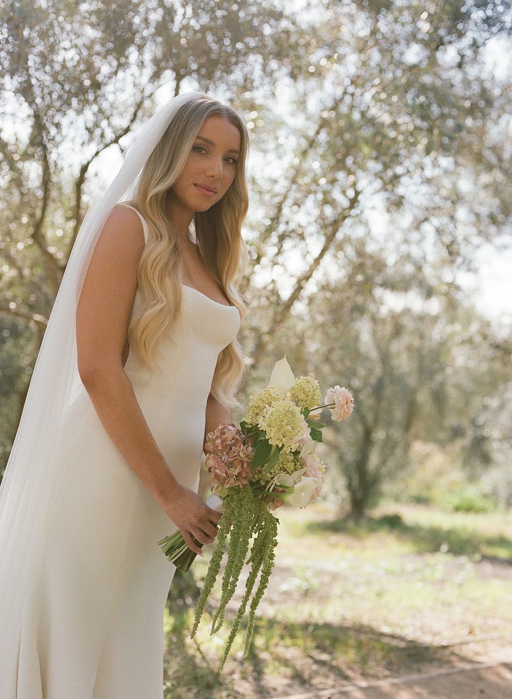Bride in an elegant white wedding dress poses in an olive grove with soft natural lighting.