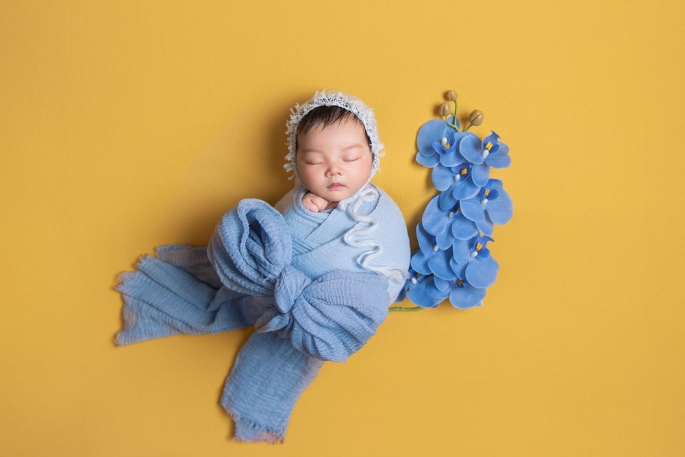 Seattle best Newborn photo
seattle Newborn photographer recommendation
Bellevue best newborn photo
Seattle milestone photo
Seattle family ph