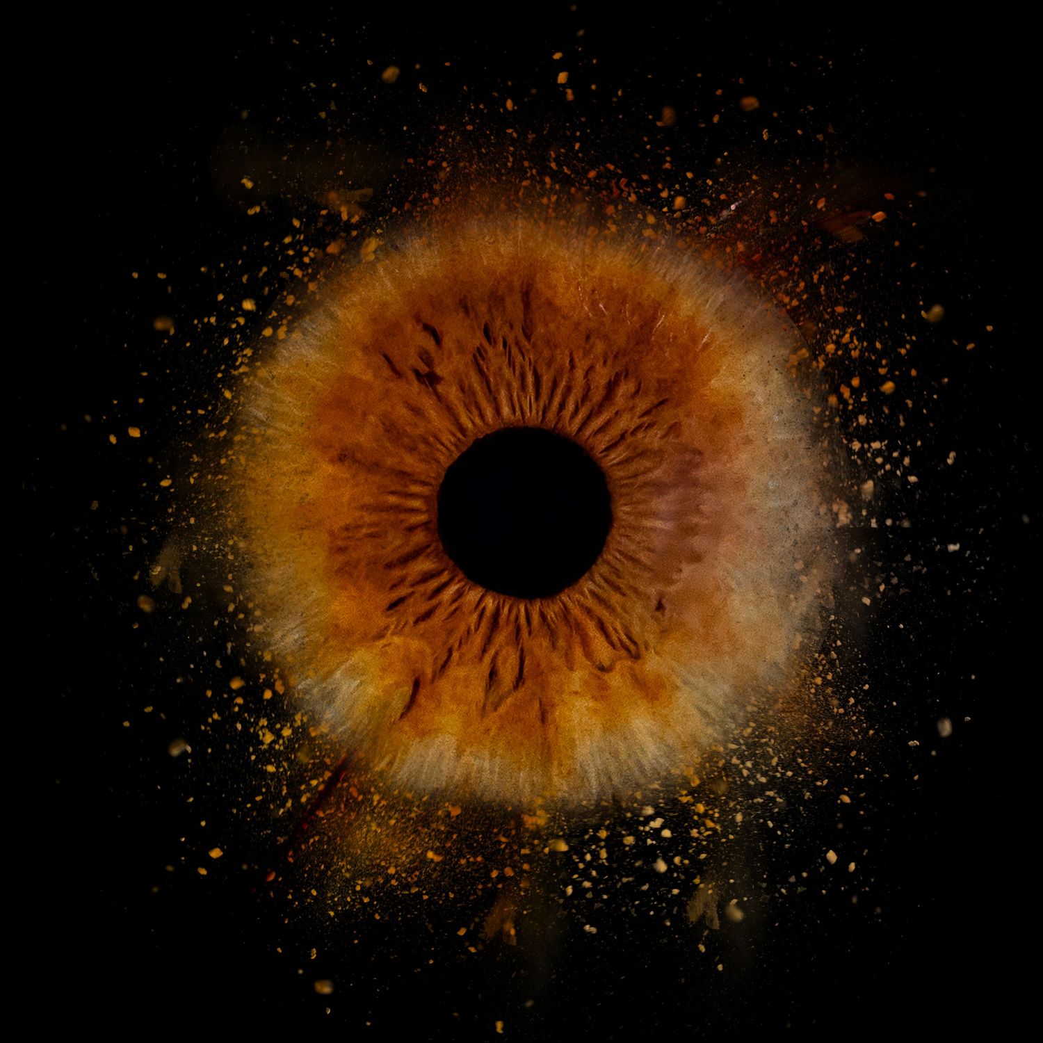 A sequence of orange and black cosmic explosions forming a circular pattern against a dark background.