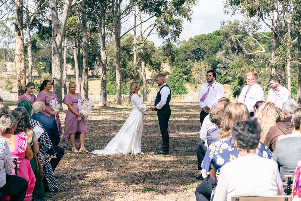 Outdoor wedding ceremony in a eucalyptus grove with guests seated on wooden benches under tall trees.