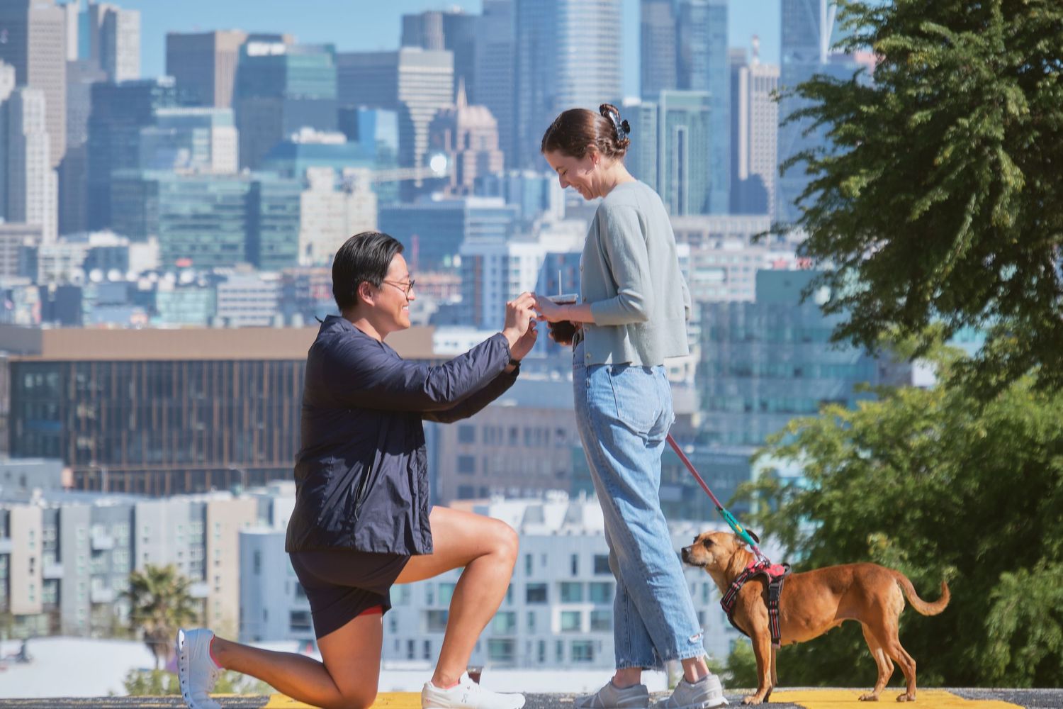 Man proposing to woman on hilltop with city skyline and dog in background.