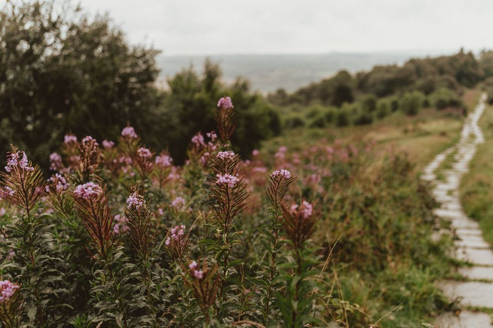 A scenic mountain trail path winds through pink wildflowers and rugged terrain under cloudy skies.