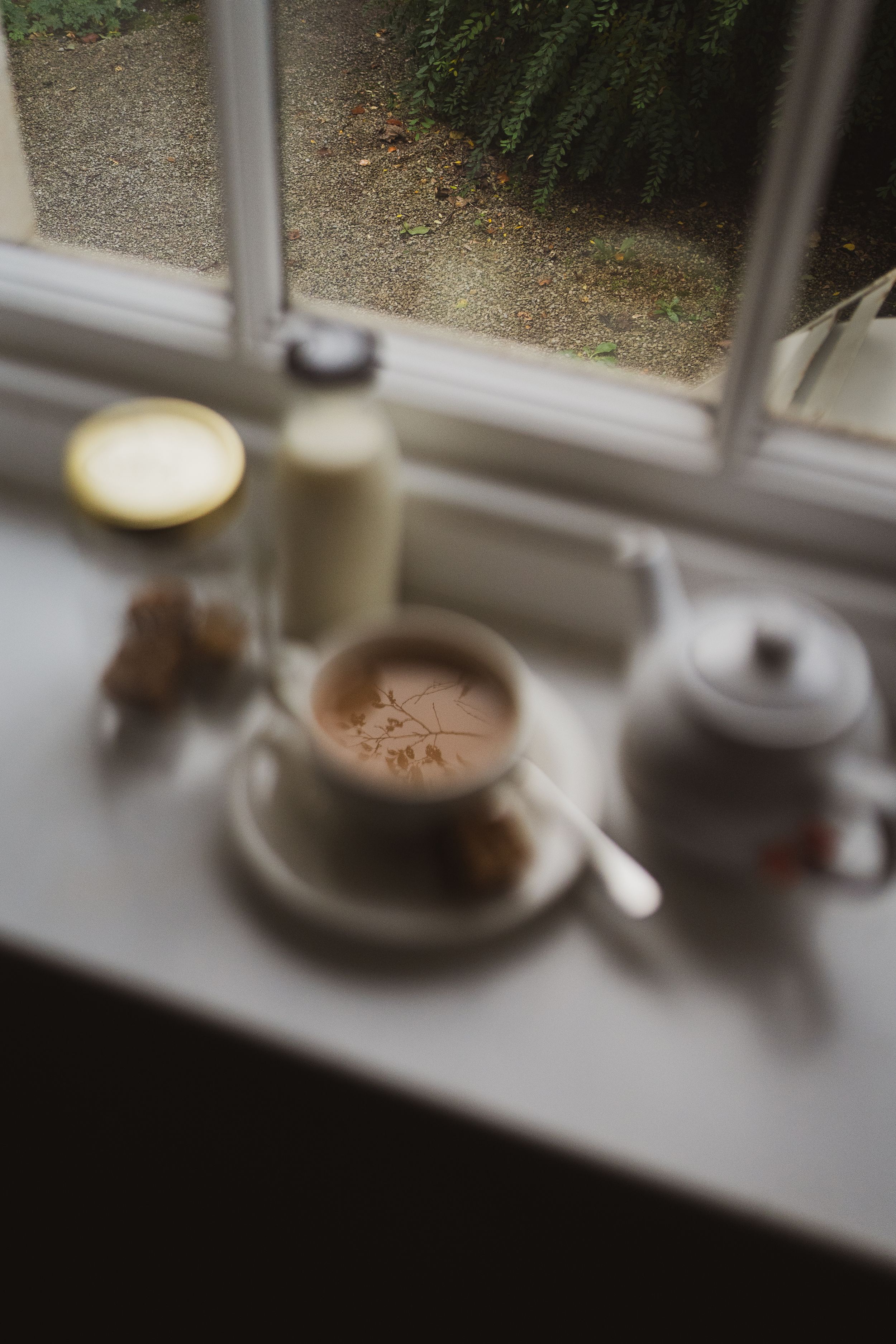 A sequence of window sill photos showing a plate gradually getting emptier as food is consumed.