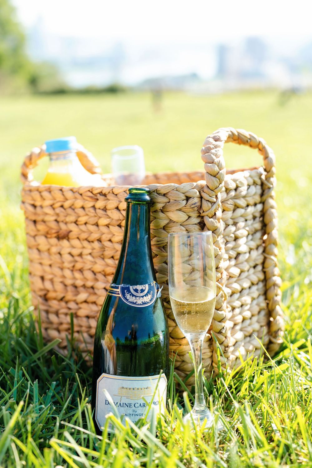Max proposing to Morgan at Devou Park with champagne and a picnic at Drees Pavillion:Cincinnati wedding photographer engagement photographer