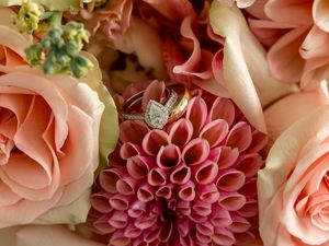 A close-up arrangement of pink and coral flowers including dahlias and roses with delicate petals in full bloom.