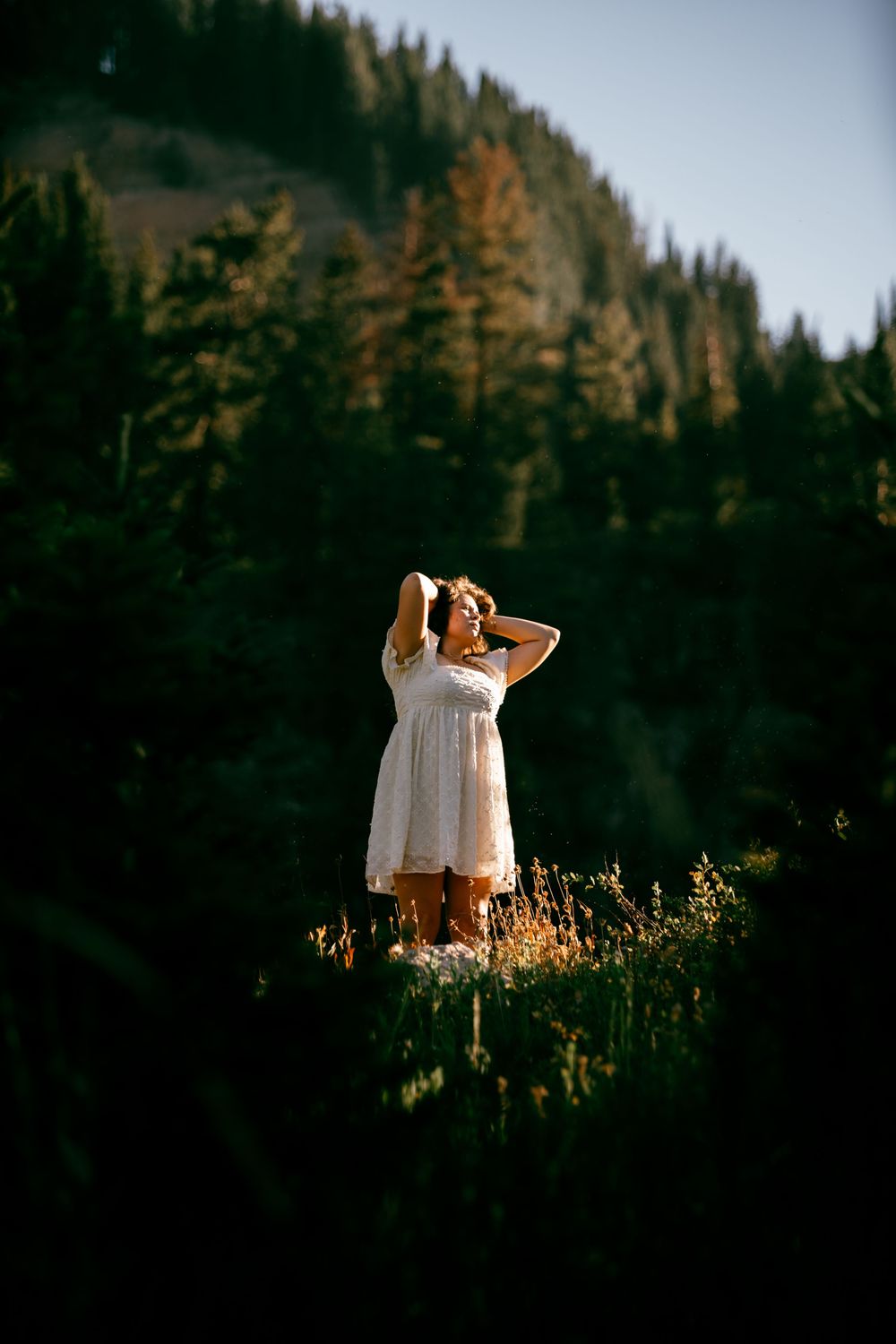A figure stands in a sunlit meadow at dusk with evergreen forest silhouettes in the background.