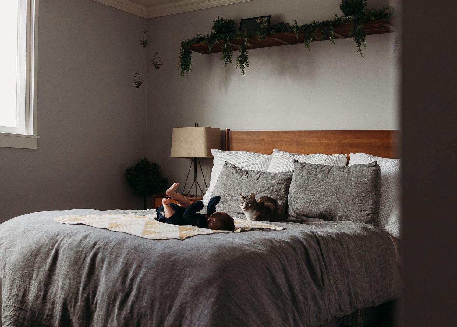 A cozy bedroom interior with gray bedding, hanging plants, and natural light streaming through a window.