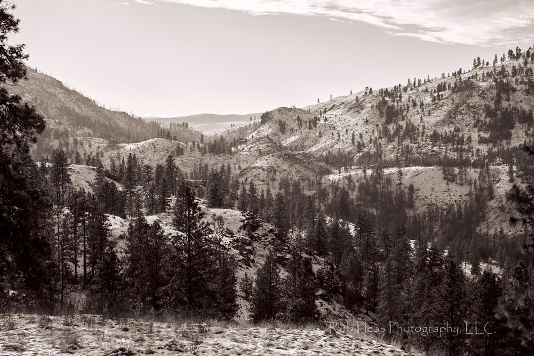 Black and white image of snow covered mountain in Okanogan, WA.