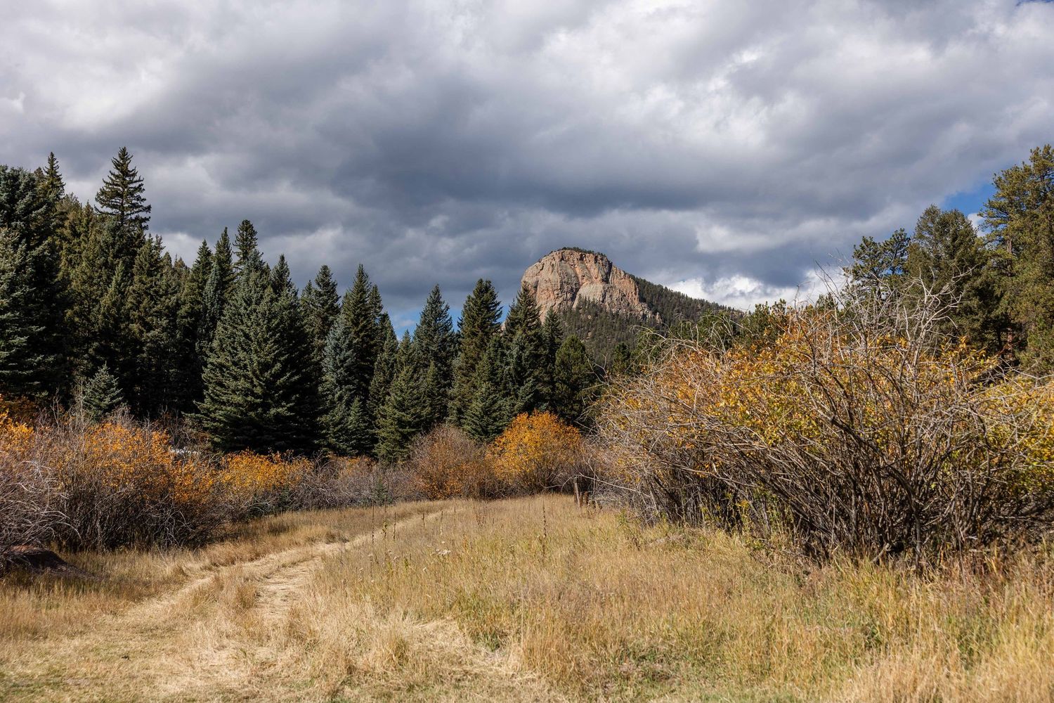A panoramic mountain landscape with dramatic cloudy skies and autumn foliage in the foreground.