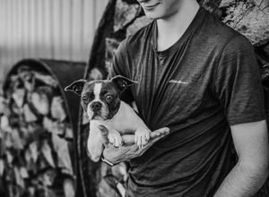 A black and white photo of someone holding a Boston Terrier dog.