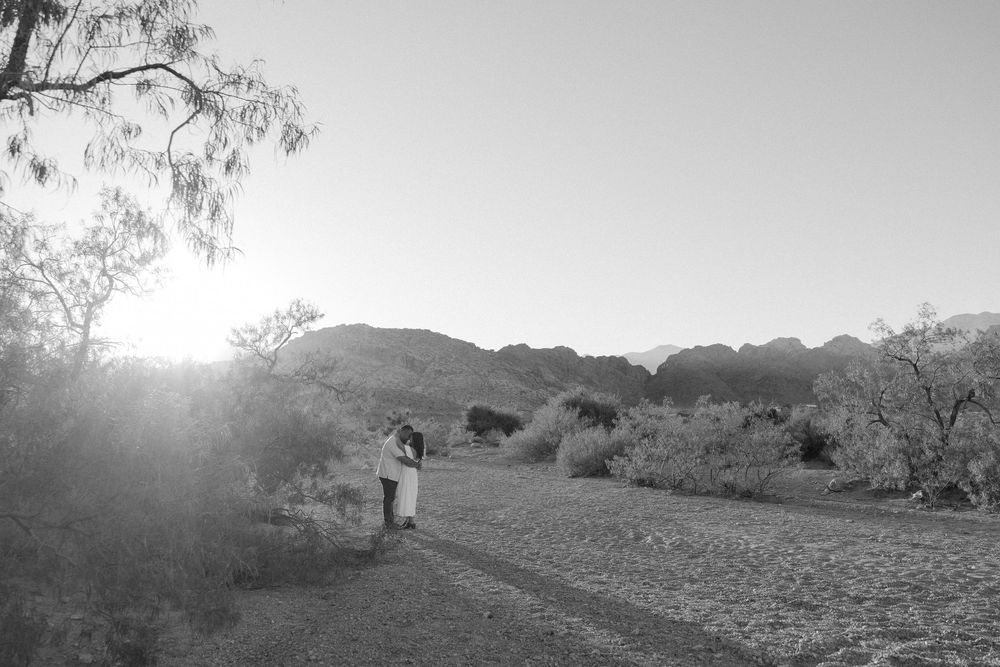 A black and white panoramic view of a rural landscape with grazing cattle and scattered trees in the distance.