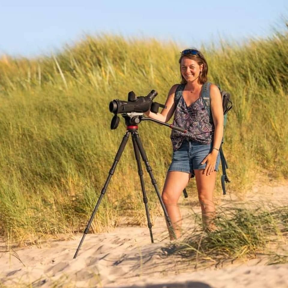 Photographer with spotting scope set up in coastal dunes.