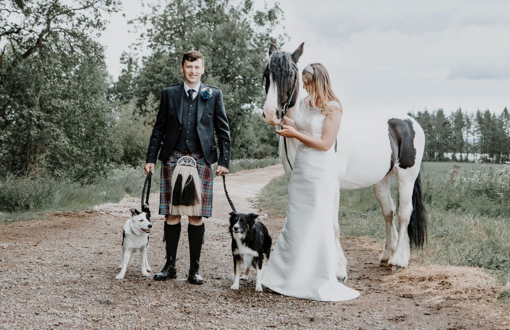 A couple poses with their dogs and a white horse on a dirt path surrounded by trees and greenery.