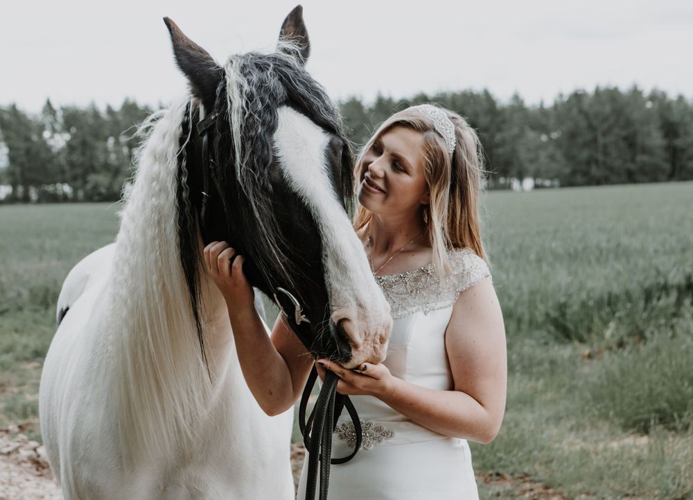 A bride in a white lace dress shares a joyful moment with a black and white horse in a green field.