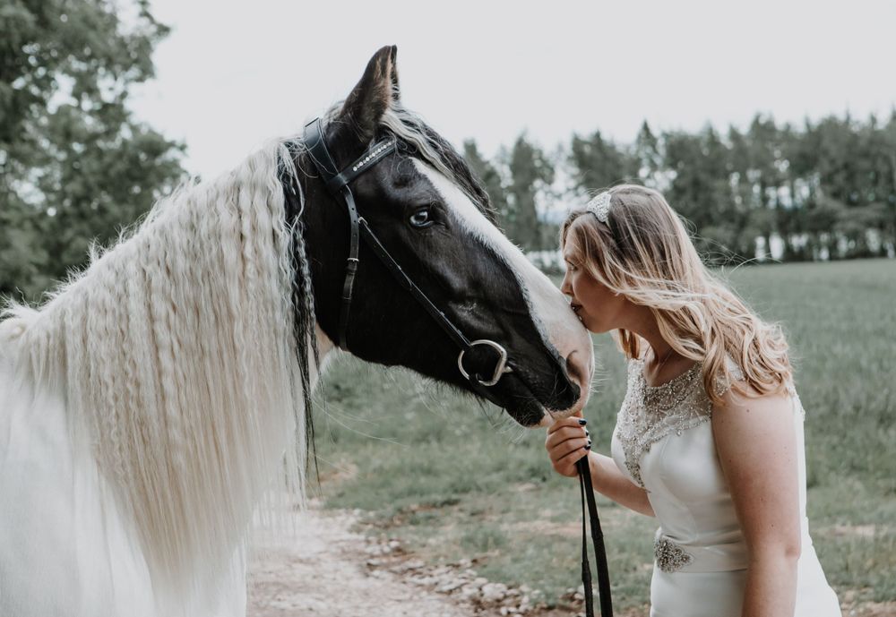 A beautiful black and white paint horse with a long flowing mane stands in a pastoral field.