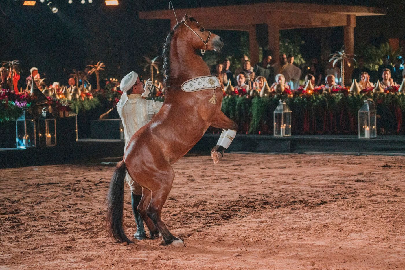 A brown horse rears up on its hind legs during a performance in a dirt arena surrounded by spectators.