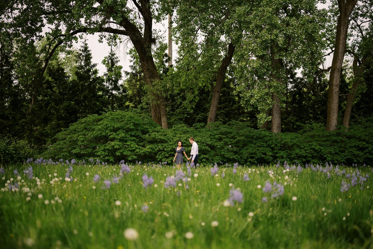 A couple walks through a lush garden with purple wildflowers blooming in a meadow under tall trees.